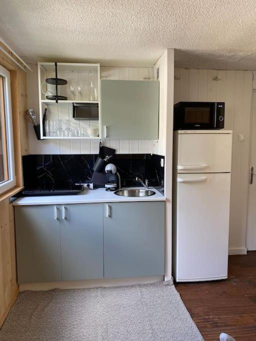 Studio Chaleureux Renove Allemont Exteriör bild